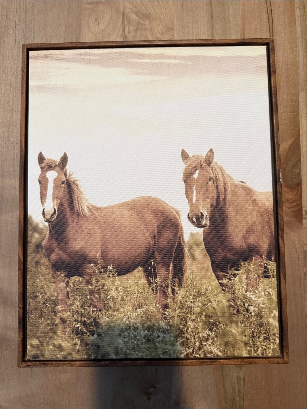 Rustic Brown Horse Wall Art Print